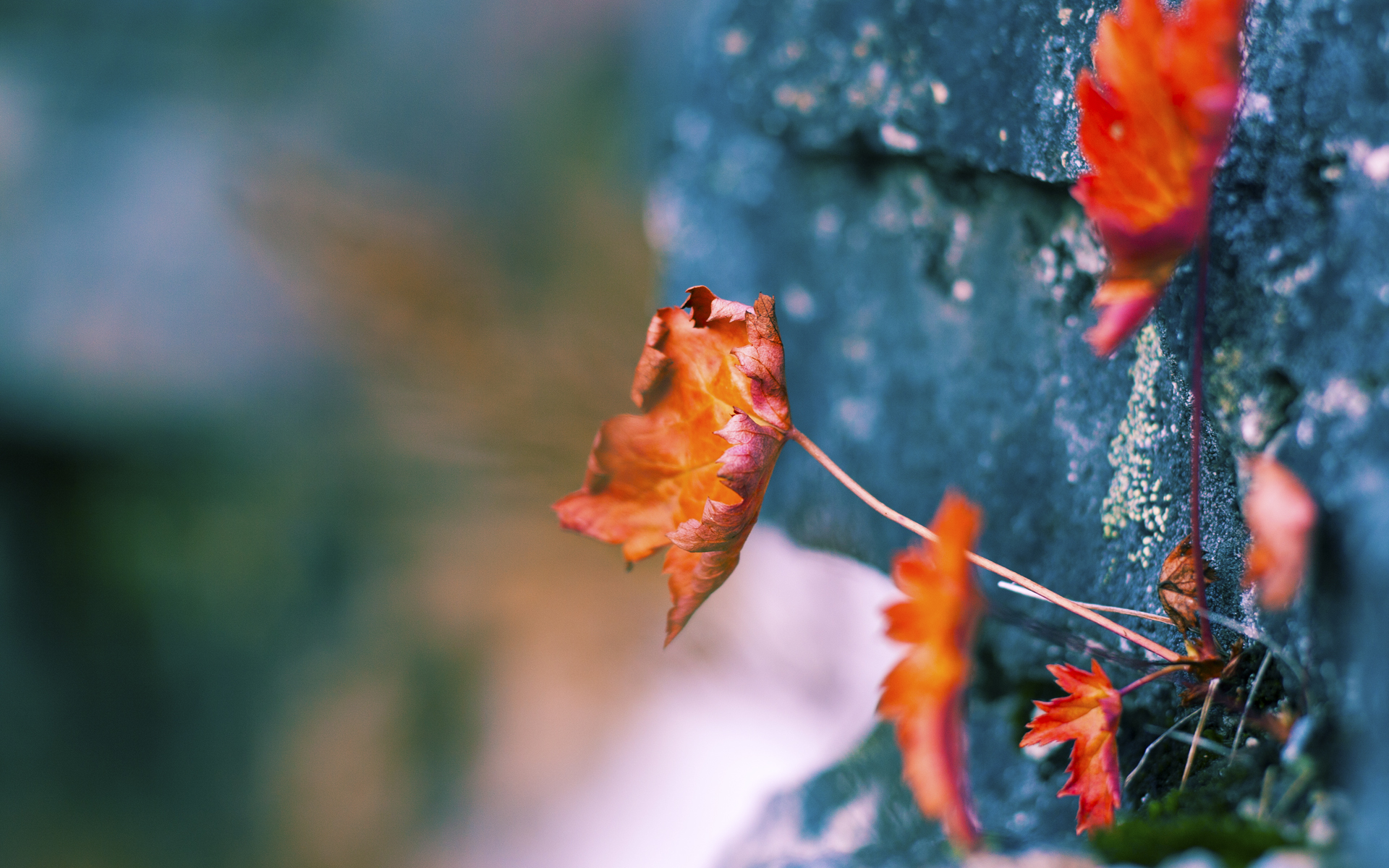 平行宇宙交汇的48小时，当德国队绝杀映照马龙不朽