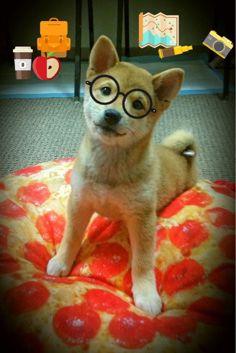 红土王子的硬地革命，鲁德如何用蒙特卡洛的智慧绝杀美网？