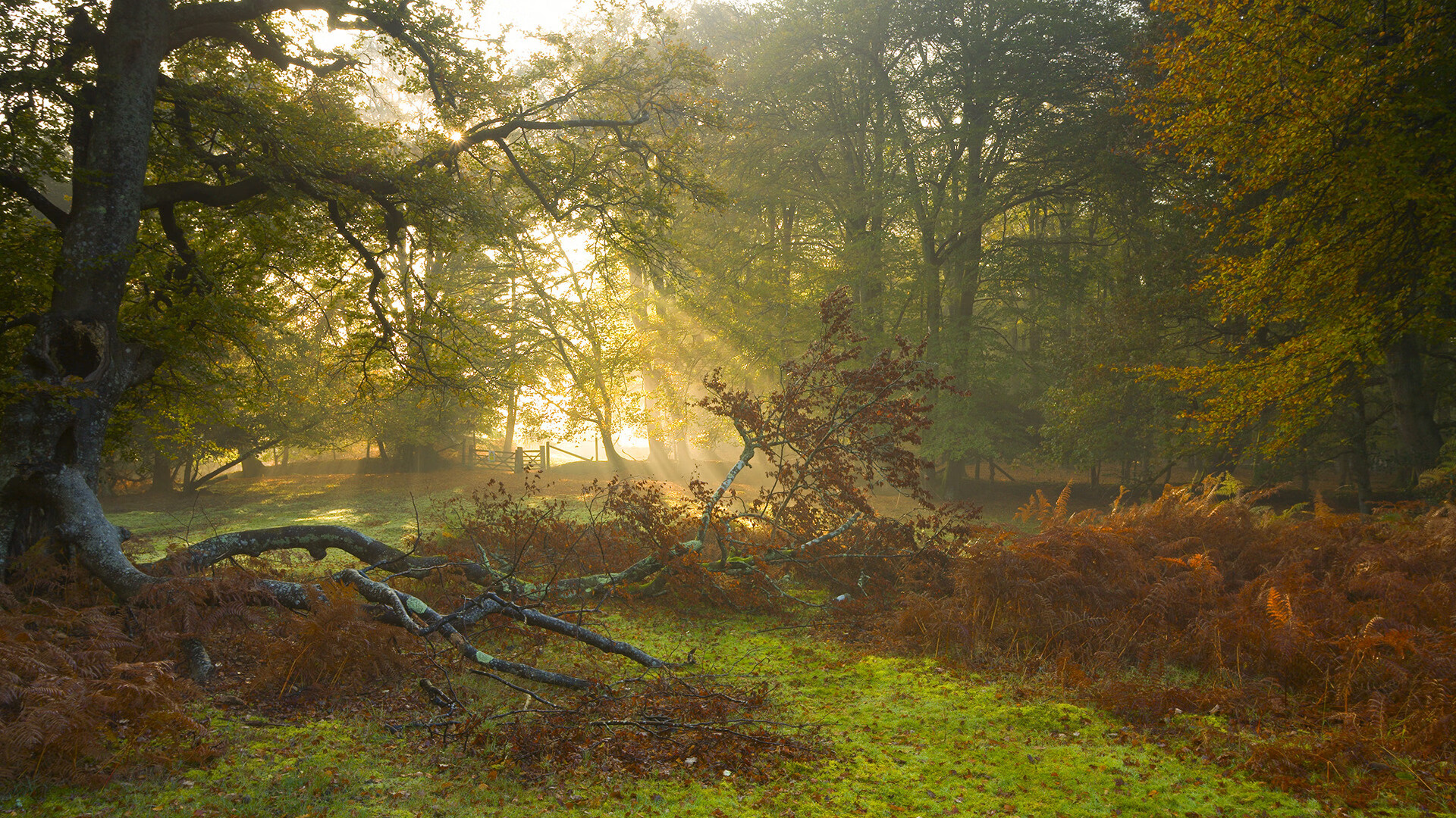 当英超争冠遇上NBA恩怨，我们到底在为什么热血沸腾？