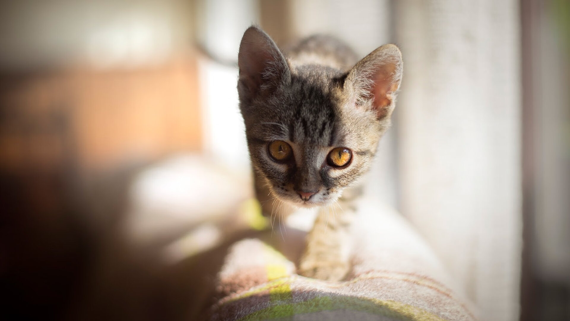 镰刀与剑，当杜兰特决定比赛时，马刺正被魔术终结