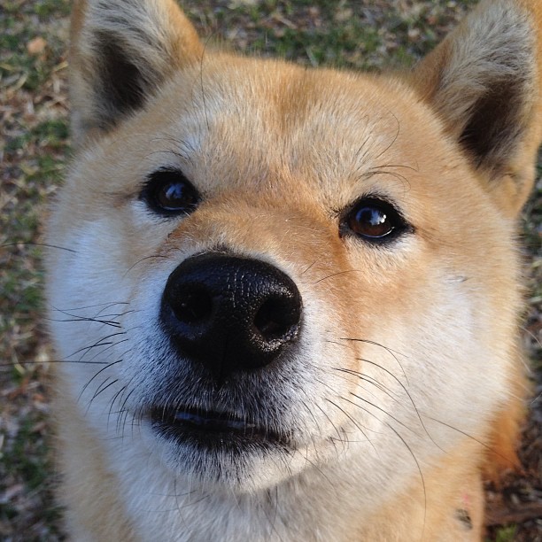 杭州的嘘声与休斯顿的叹息，当浙江元素撞见哈登的里程碑之夜