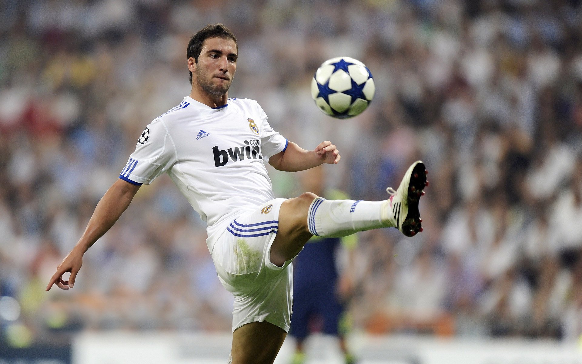 按下静音键的人，当尼日利亚沉默伊朗，卡马文加接管世界