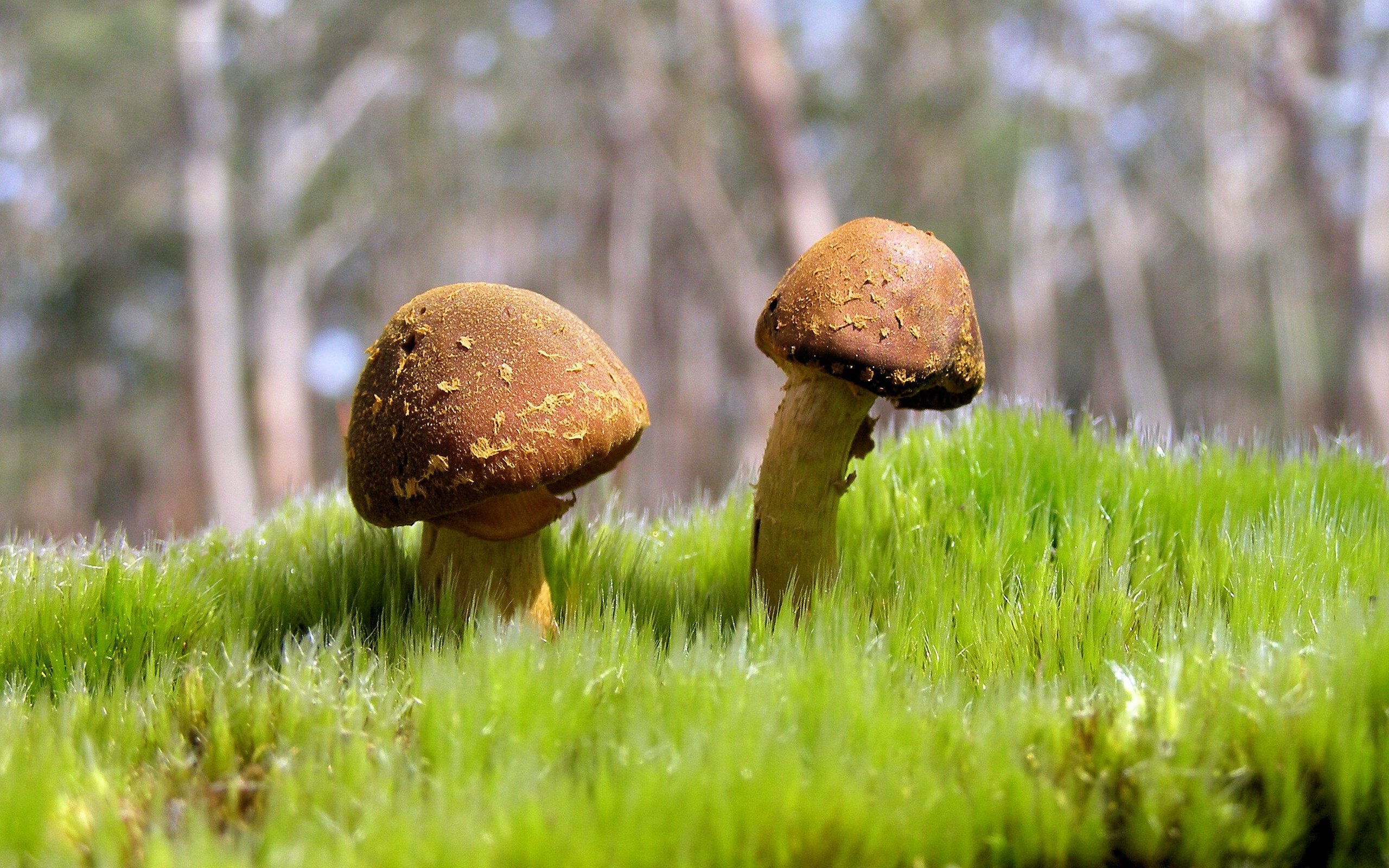 东方豪强压境太平洋舰队，哈登绝境救主成就关键先生美名