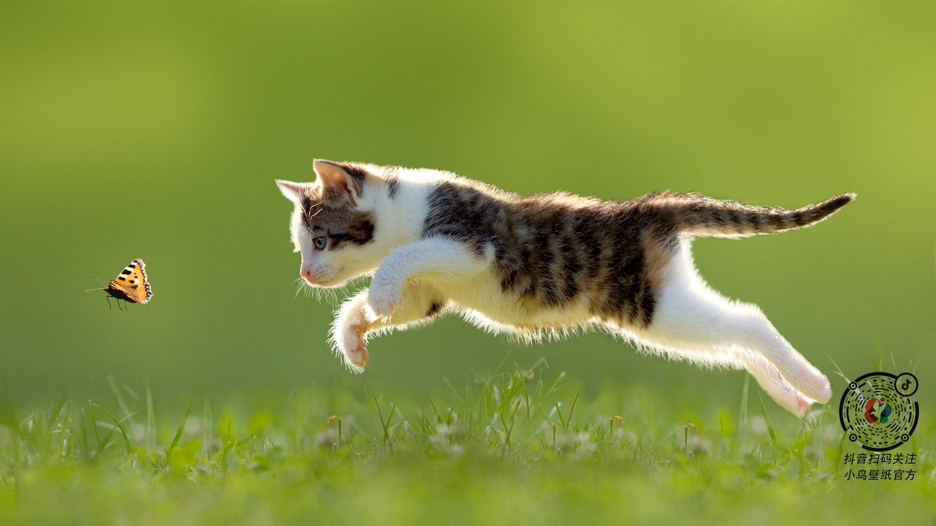 绿茵场上的东北虎，当欧冠淘汰赛的硝烟，在吉林制霸尼克斯之夜点燃