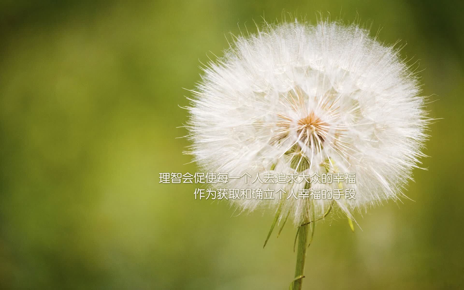 孤注一掷，2026世界杯四分之一决赛，捷克与乌兹别克斯坦的宿命交锋，吉鲁的最后一舞