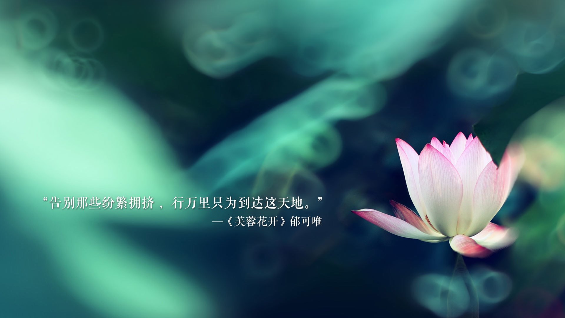 唯一的一夜，当吉鲁在2026世界杯E组撕裂命运，葡萄牙与泰国写下紧凑史诗