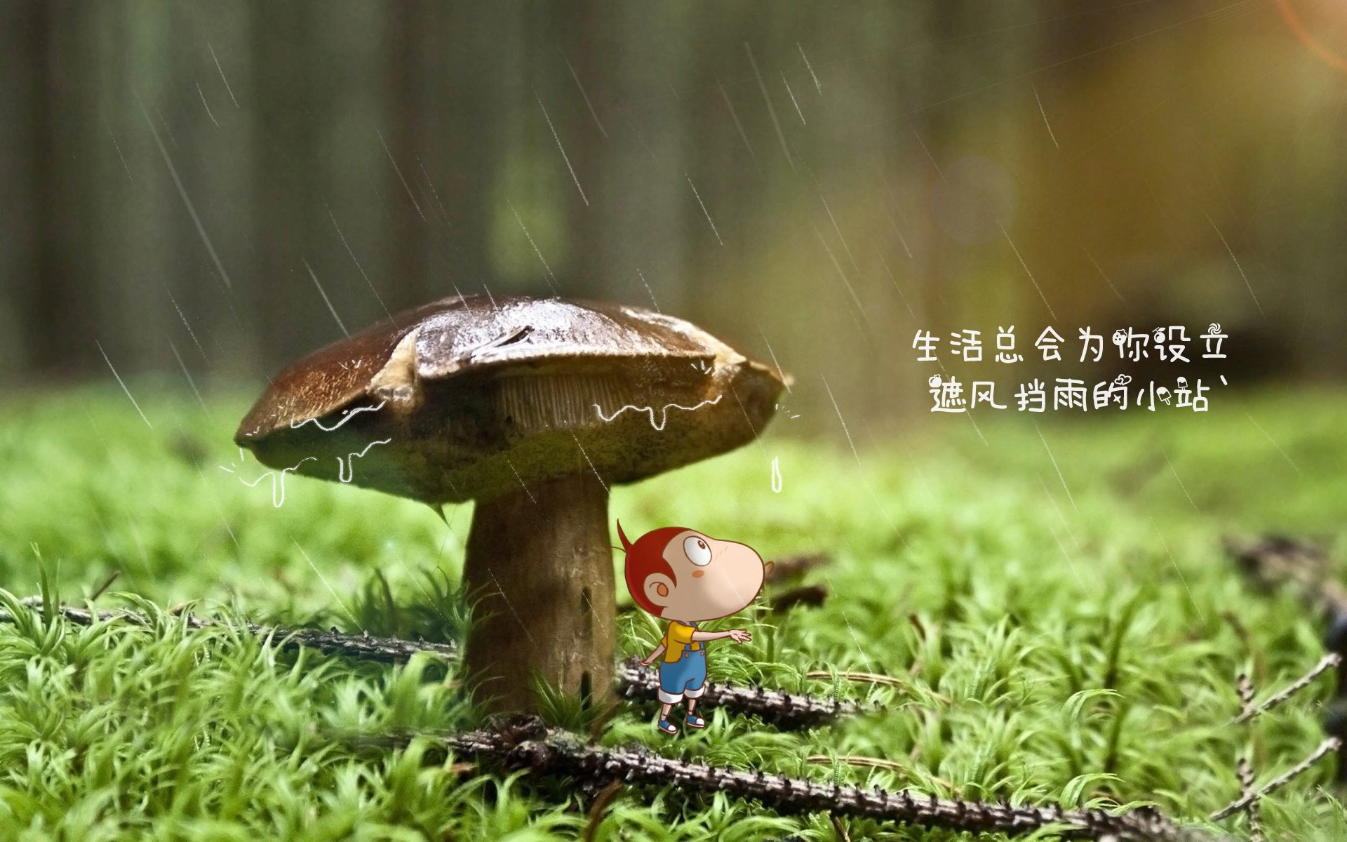 冰火两重天，2026世界杯F组生死战，冰岛惊天完胜比利时，凯恩领衔英格兰攻守转换如行云流水